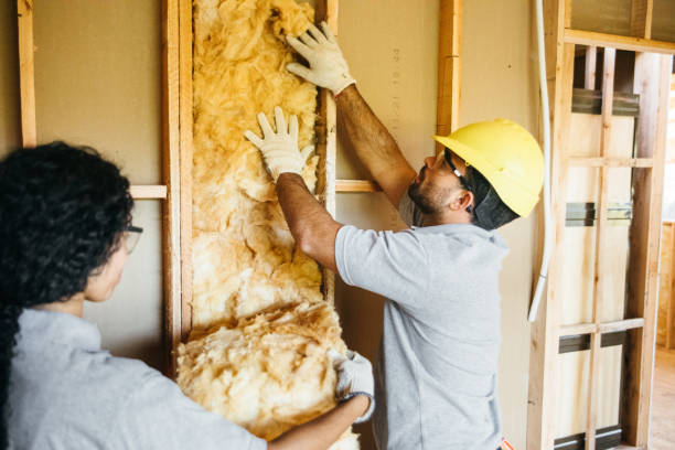 Insulation Inspection Services in Pekin, IL